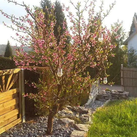 Daire Roemischer Gutshof *